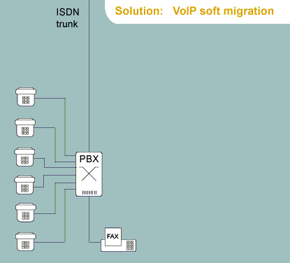 Migration Migration