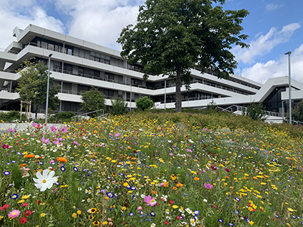 front view of district building at Euskirchen, with colorful meadow full of flowers