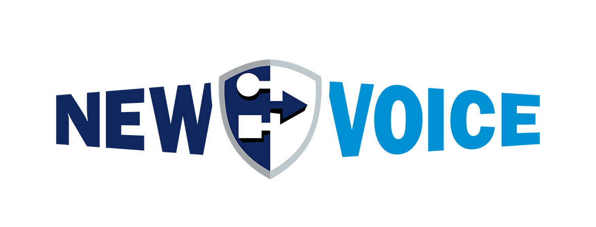 Firmenlogo der New Voice Systems GmbH